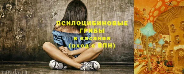 сатива Карталы