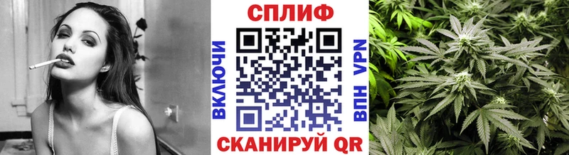 Купить Почеп Канабис ГИДРОПОН